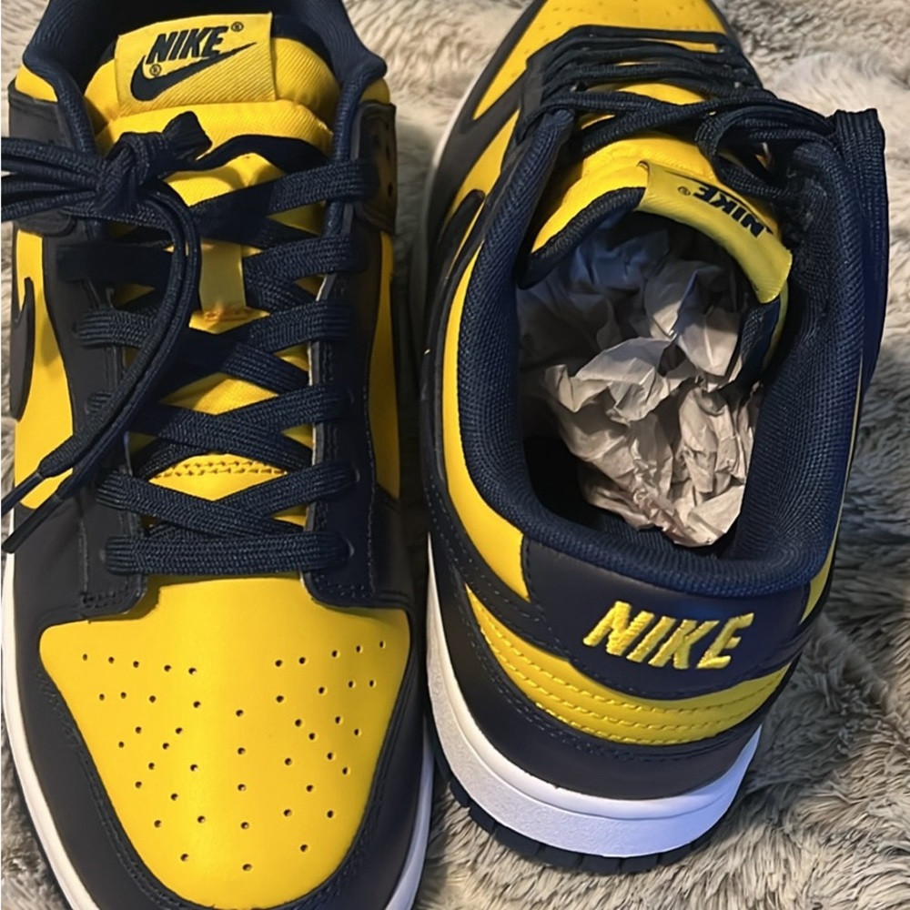 Michigan Dunks - image 3